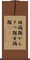 柑橘類;かんきつ類;甘橘類(iK) Scroll