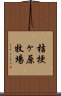 桔梗ヶ原牧場 Scroll