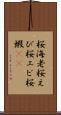 桜海老 Scroll