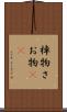 棹物 Scroll