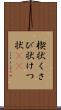 楔状 Scroll