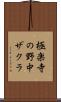 極楽寺の野中ザクラ Scroll