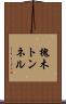 槐木トンネル Scroll