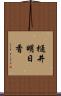 樋井明日香 Scroll