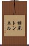 横尾トンネル Scroll