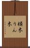 橉木 Scroll