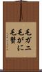 毛ガニ Scroll