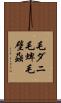 毛ダニ Scroll