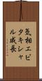 気相エピタキシャル成長 Scroll