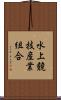 水上競技産業組合 Scroll