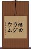 池田ラジウム Scroll