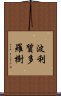 波利質多羅樹 Scroll