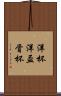 洋杯 Scroll