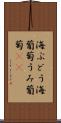 海ぶどう Scroll