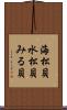 海松貝 Scroll