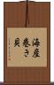 海産巻き貝 Scroll