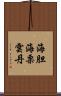 海胆 Scroll