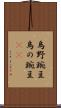 烏野豌豆 Scroll