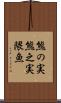 熊の実 Scroll