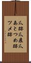 爪跡 Scroll