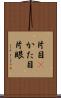 片目(P) Scroll