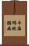 牛海綿狀腦病 Scroll