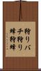 狩りバチ Scroll