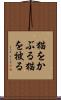 猫をかぶる Scroll