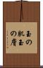 玉の肌 Scroll