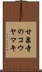 甘泉寺のコウヤマキ Scroll
