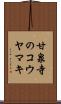 甘泉寺のコウヤマキ Scroll