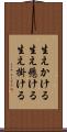 生えかける Scroll