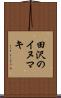 田沢のイヌマキ Scroll