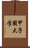 甲子園大学 Scroll