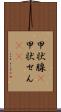 甲状腺(P) Scroll