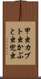 甲虫 Scroll