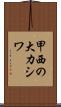 甲西の大カシワ Scroll