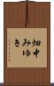畑中みゆき Scroll