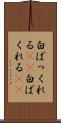 白ばっくれる(sK) Scroll