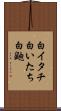 白イタチ Scroll