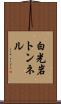 白光岩トンネル Scroll