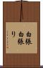 白張 Scroll