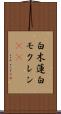 白木蓮 Scroll