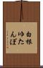 白根ゆたんぽ Scroll