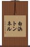 白浜トンネル Scroll
