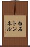 白石トンネル Scroll