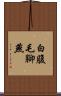 白腹毛腳燕 Scroll