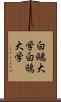 白鷗大学 Scroll