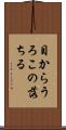 目からうろこの落ちる Scroll