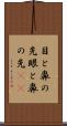 目と鼻の先 Scroll